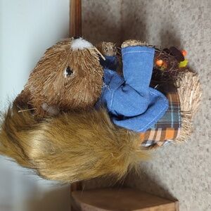 Set of Country Squirrels